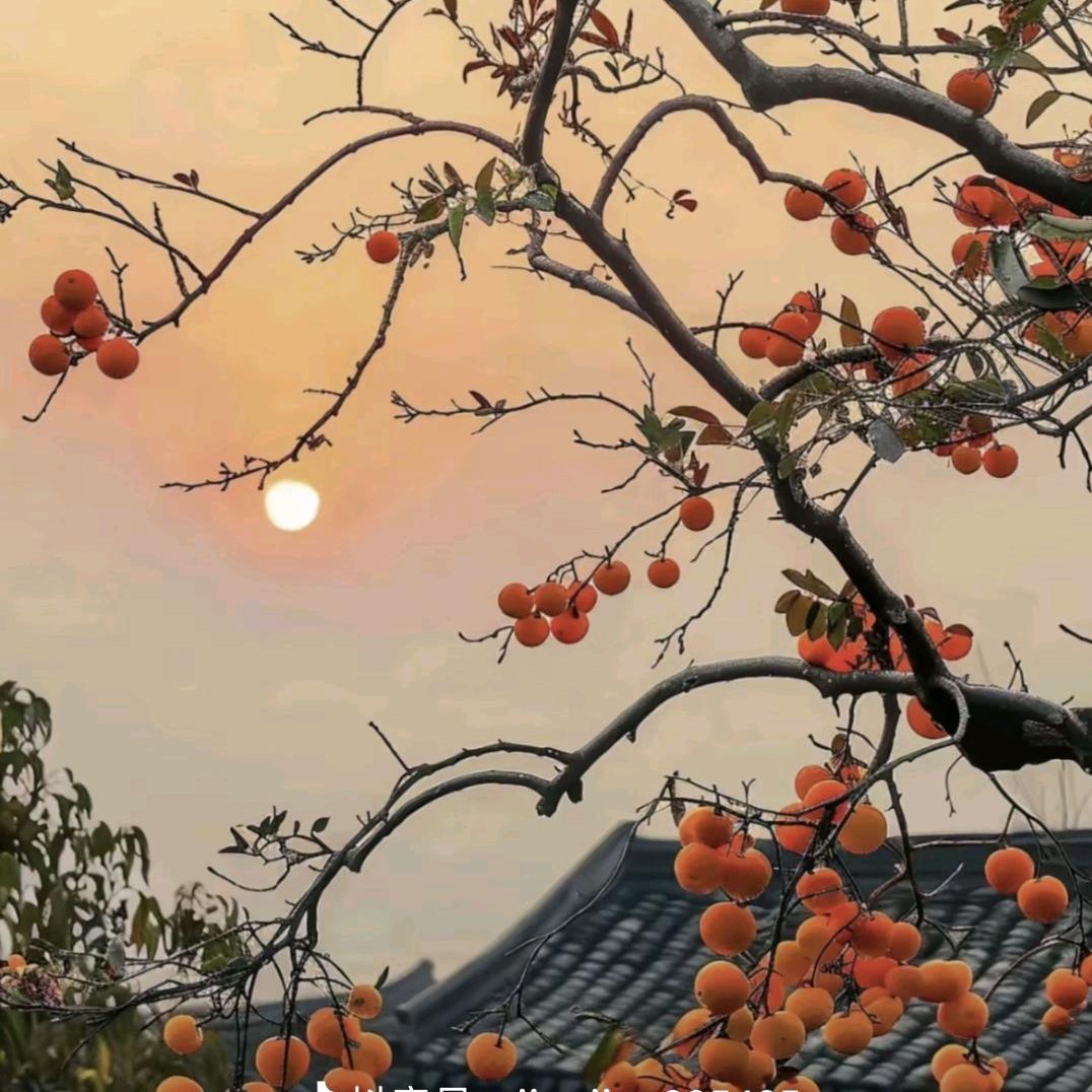 高记