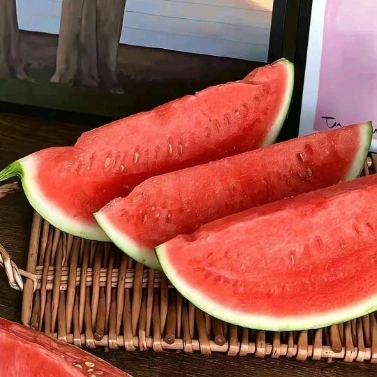 🍉🍉🍉🍉