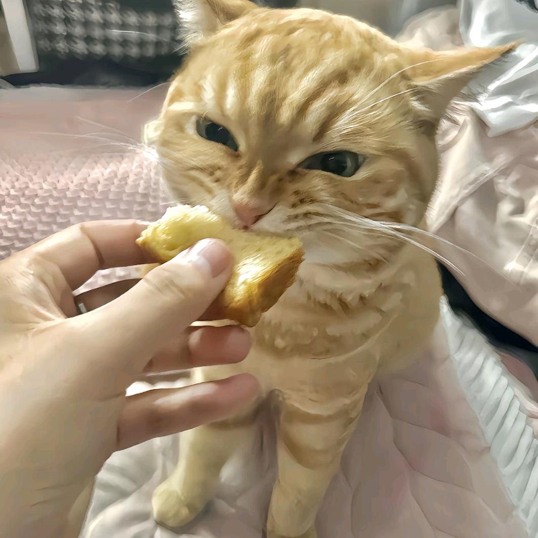 睡到自然醒