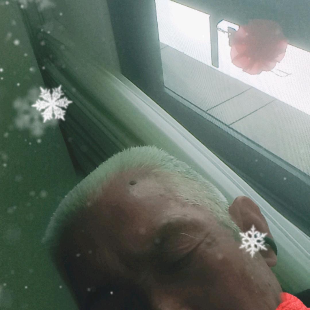 开心快乐到永远