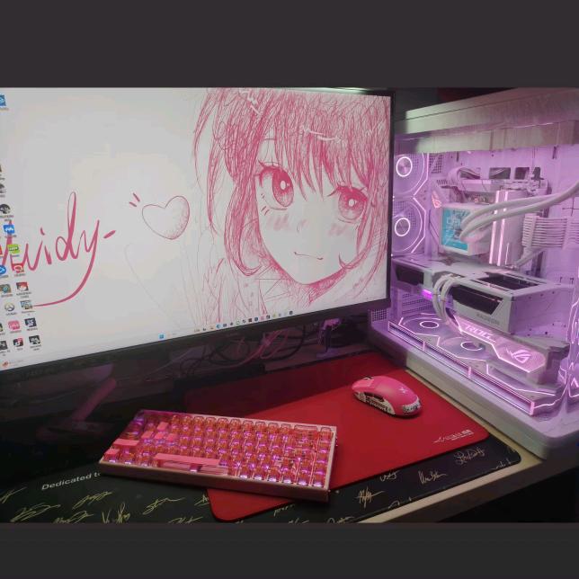 雅芙电脑