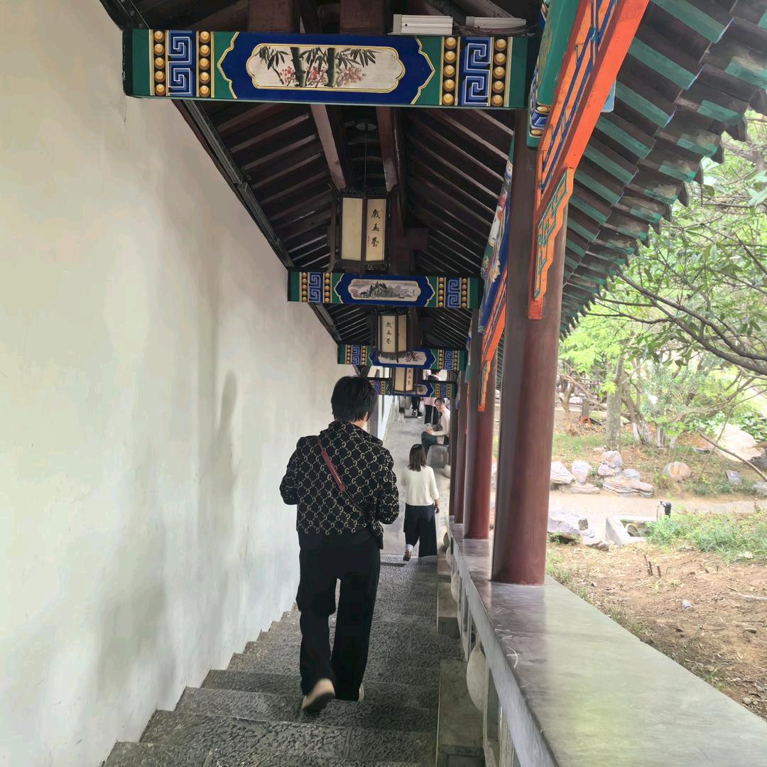 丽姐