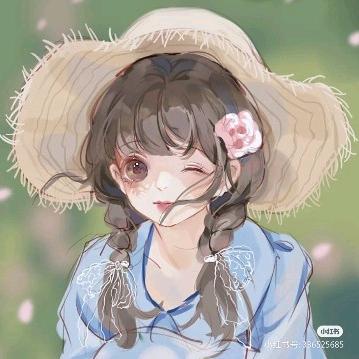 在桑德兰采风的李子