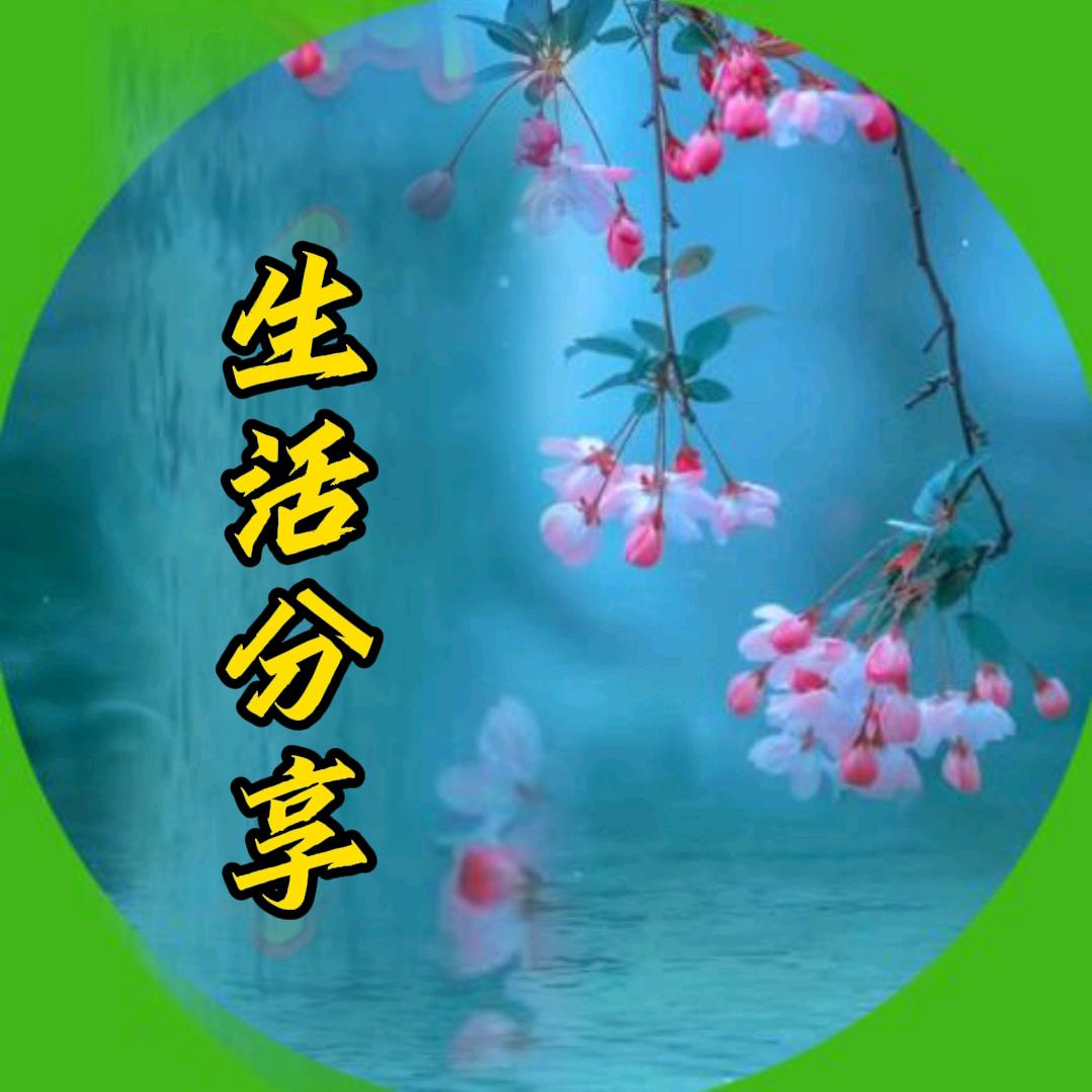 生活分享