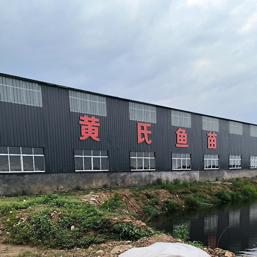 黄氏鱼苗养殖专业合作社