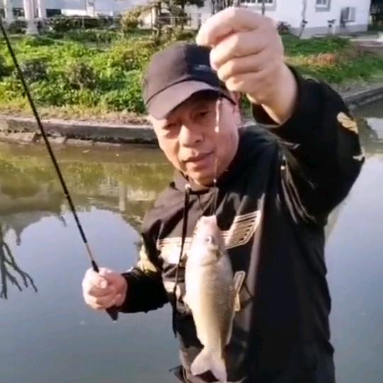 天马老沈