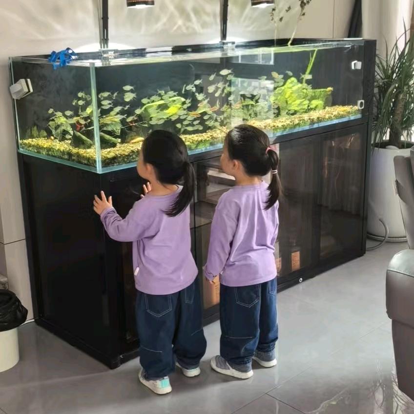 陆公子
