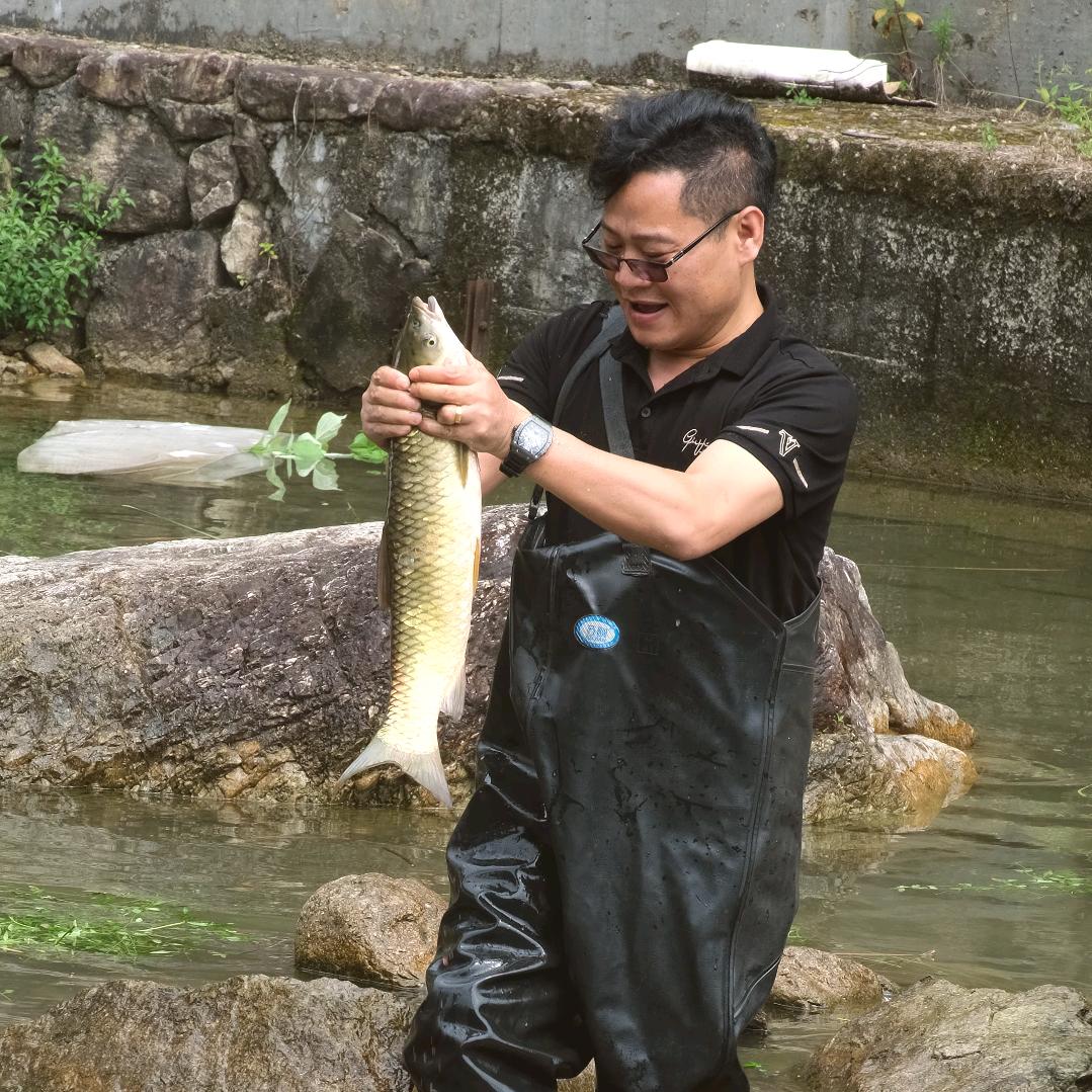 浪子回头锋