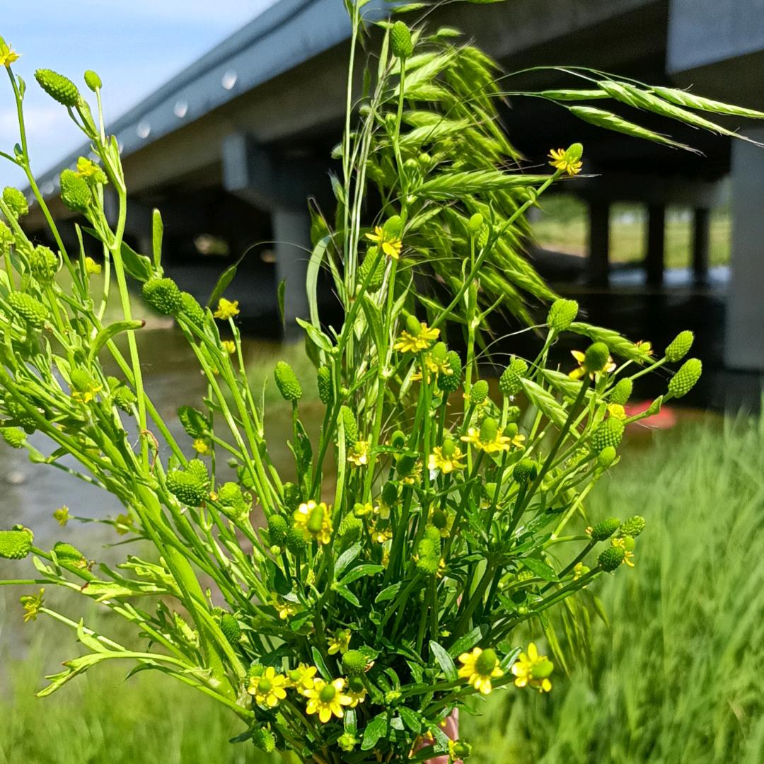 🌺未来可期🌺