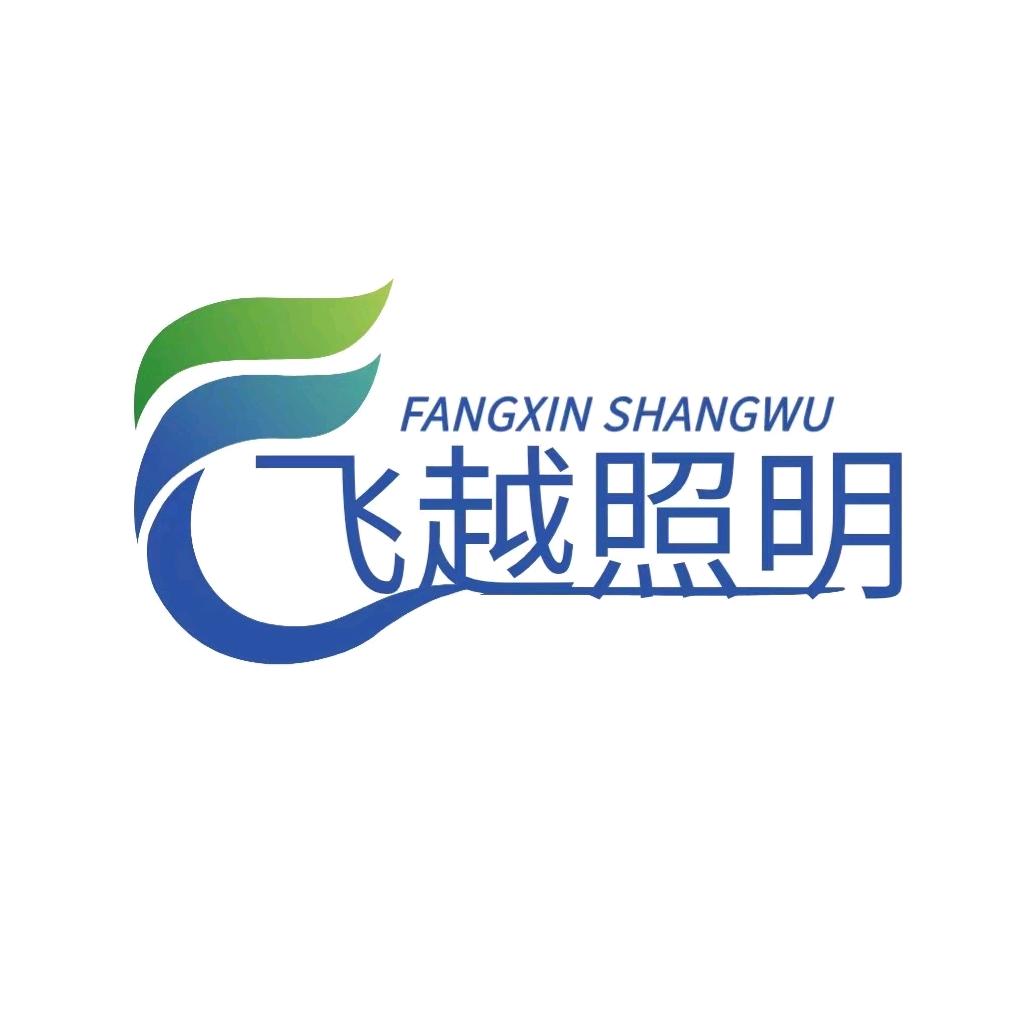 飞YUE户外照明头灯店