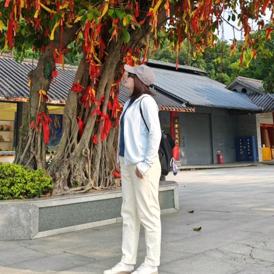淡然小生活
