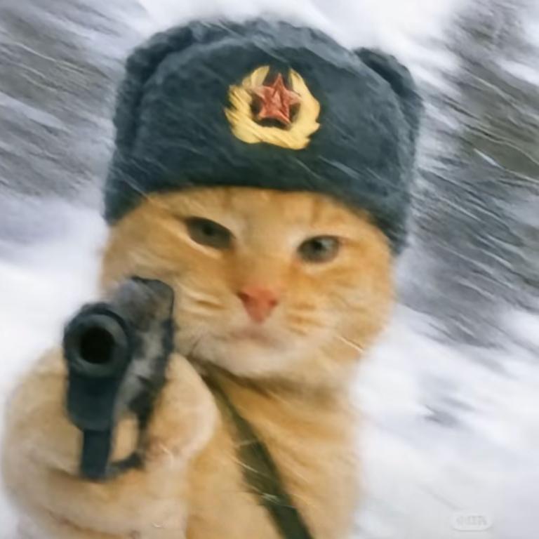 叫兽的好叠
