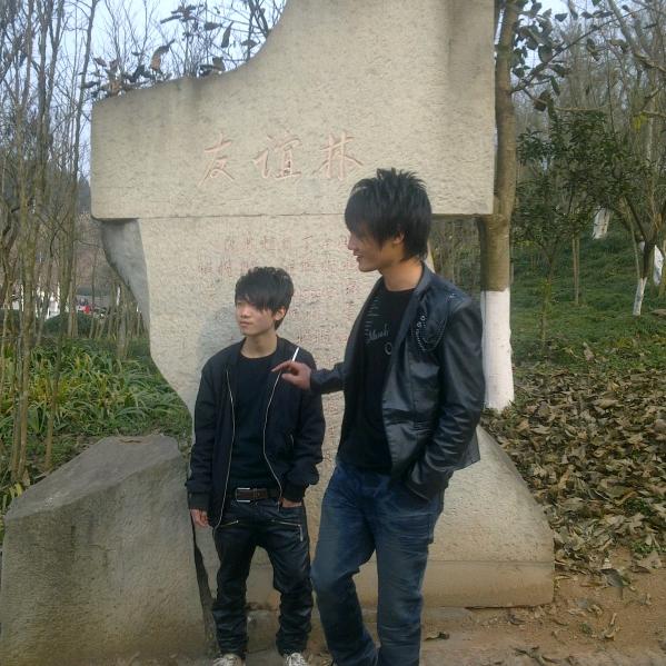 小龙w