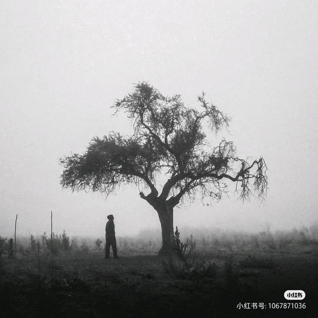 宸近墨染意