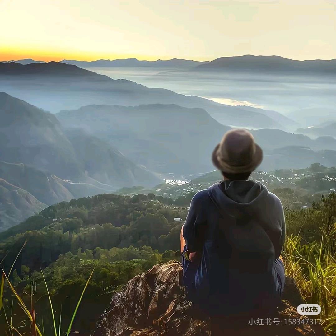 一起去旅游