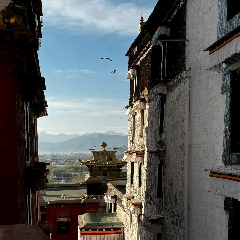 Namgyal  Tashi