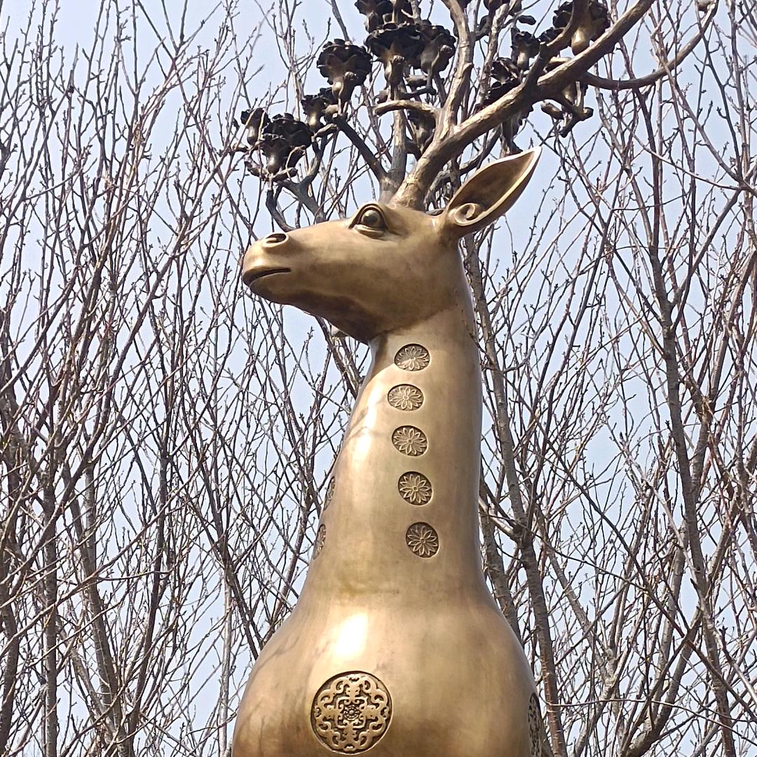 雪中情缘