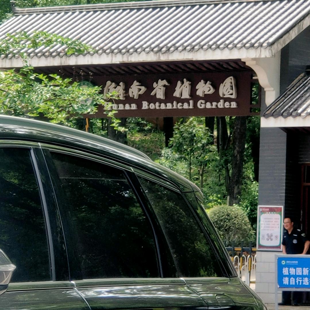 蓝波望