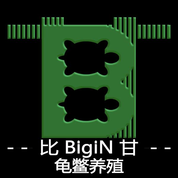 比甘的小乌龟