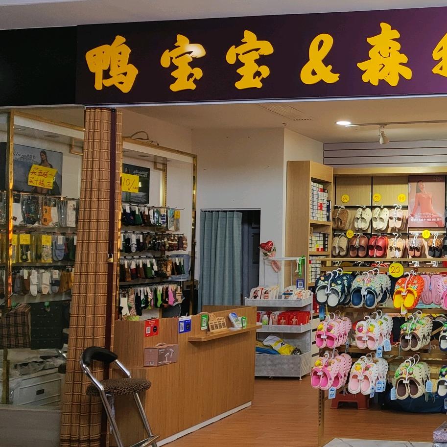 鸭宝宝森鹅居家