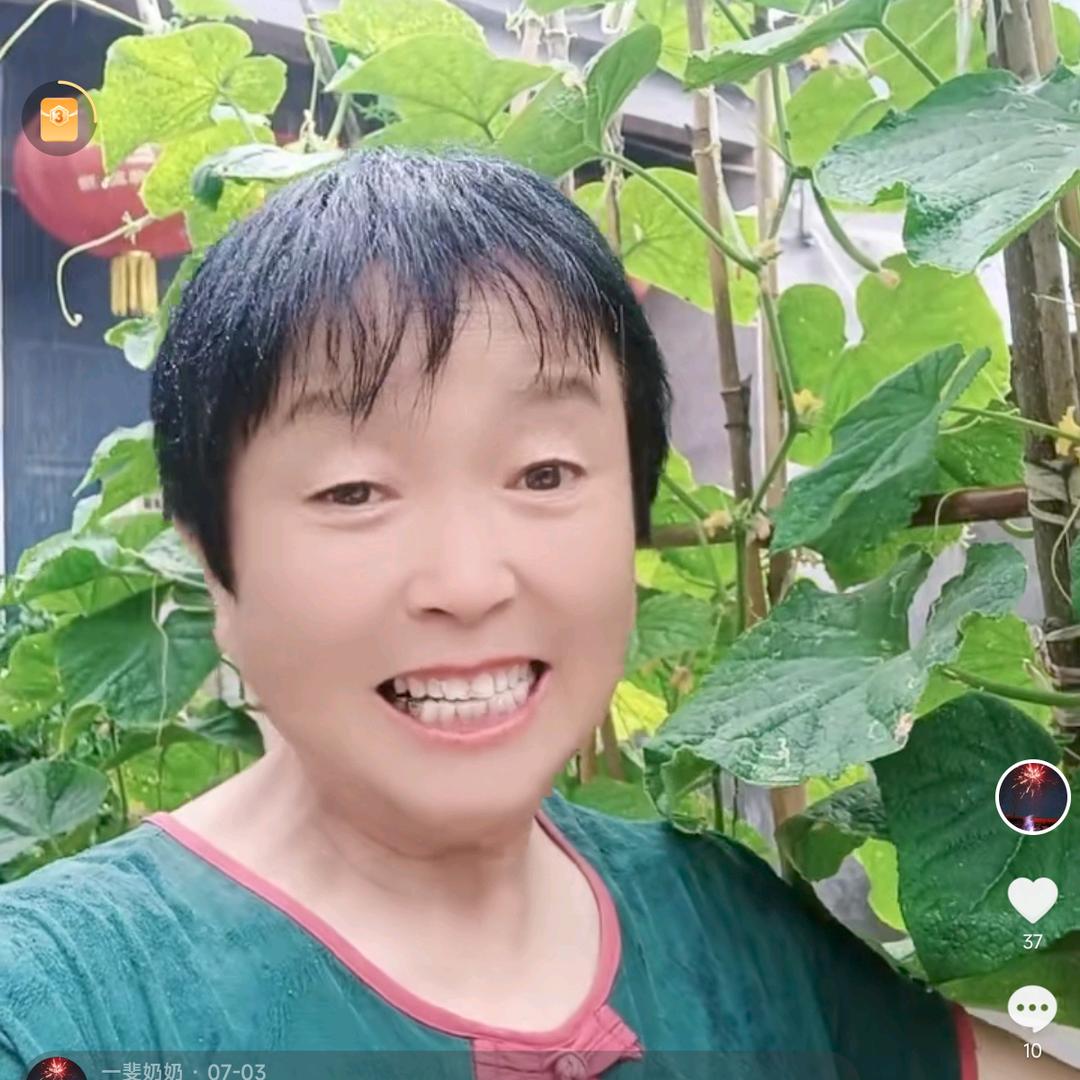 一斐奶奶