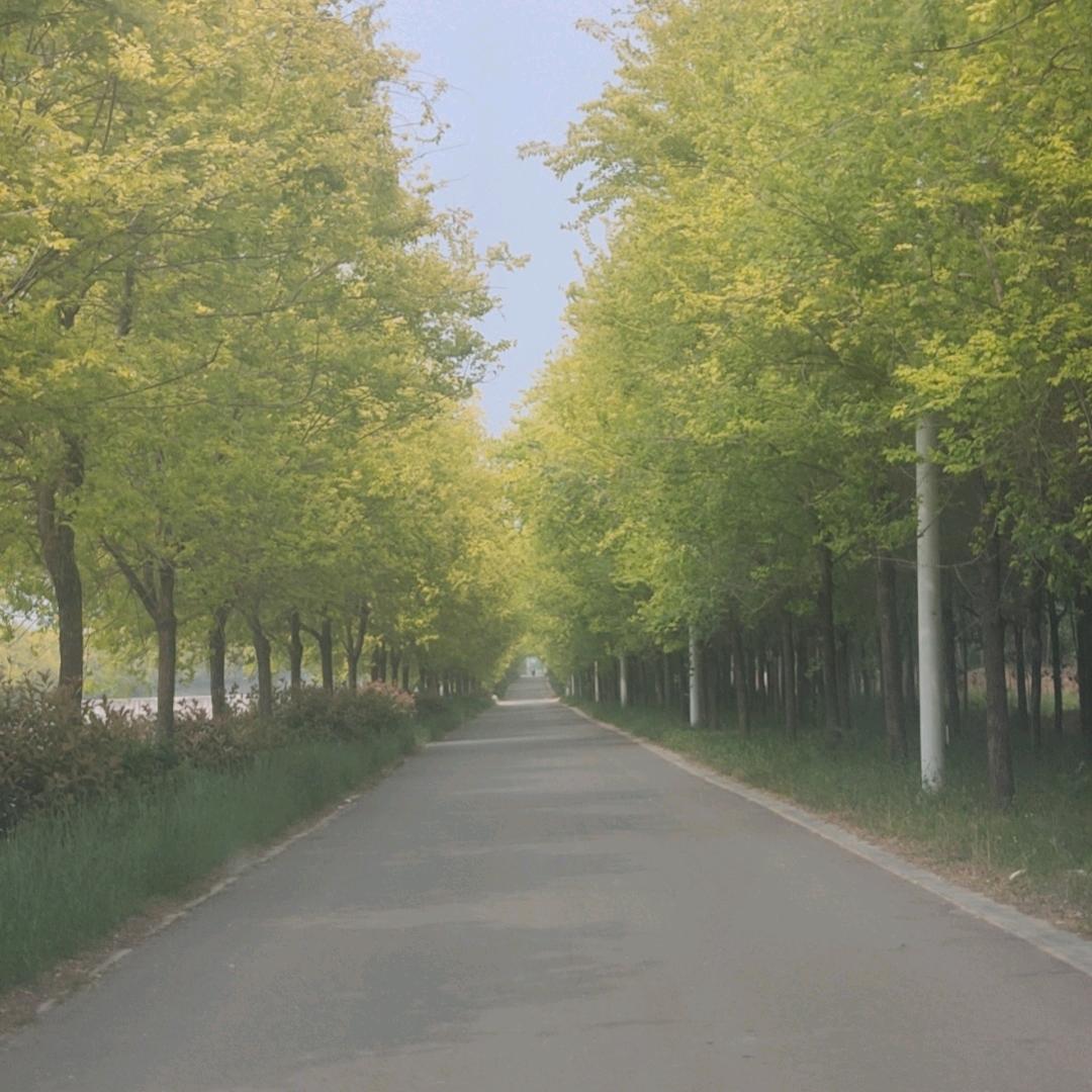 只忠于你