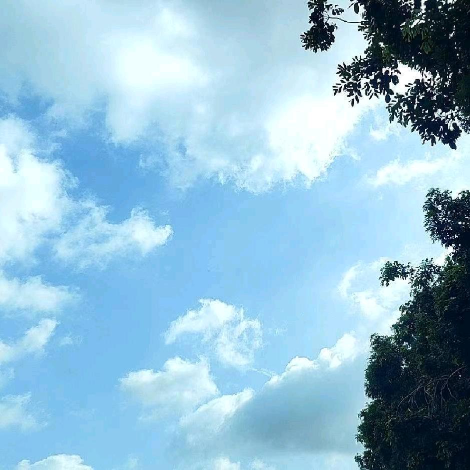 土渣青年