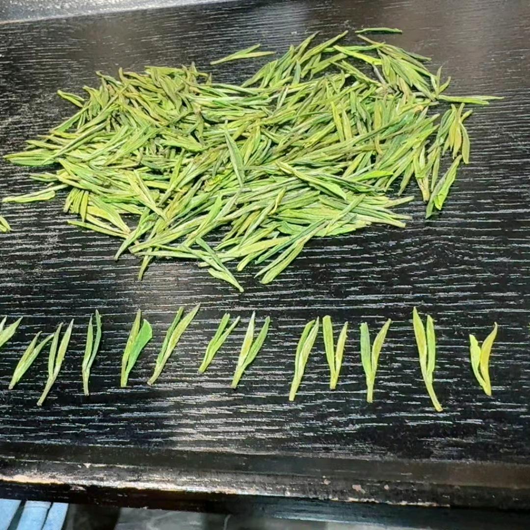波仔很忙