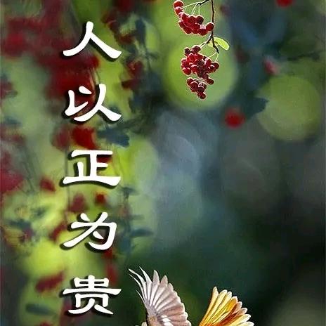 面对现实