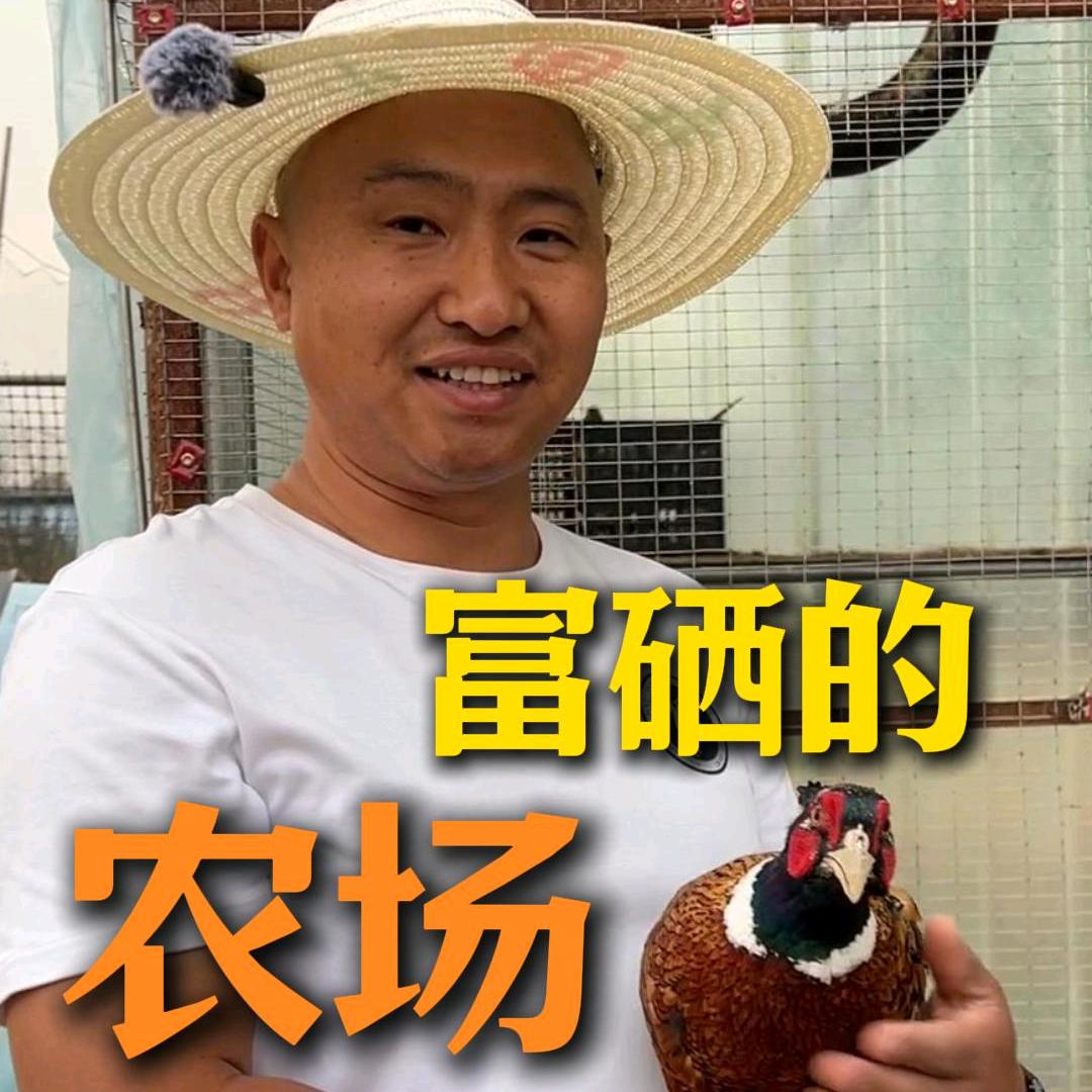 富硒壹号农场