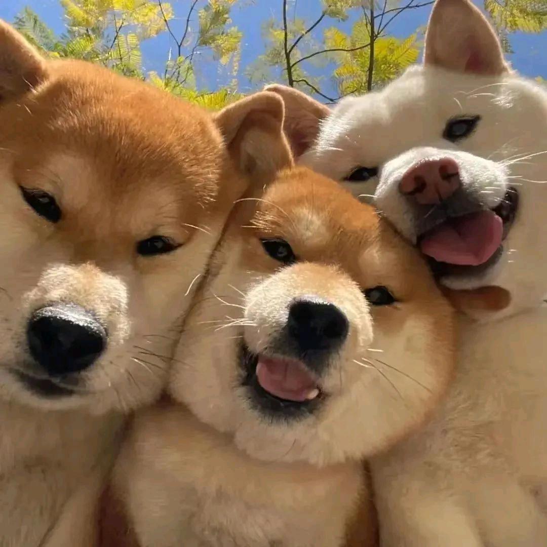 投资小乞丐