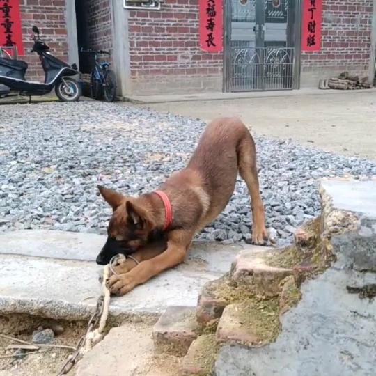 乡下佬