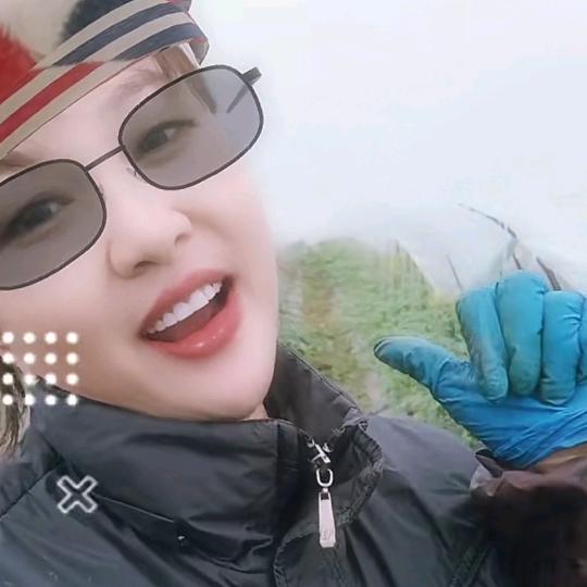 大棚姐