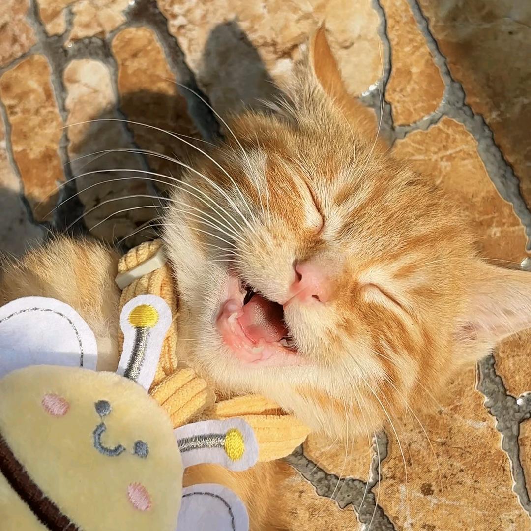 珊珊