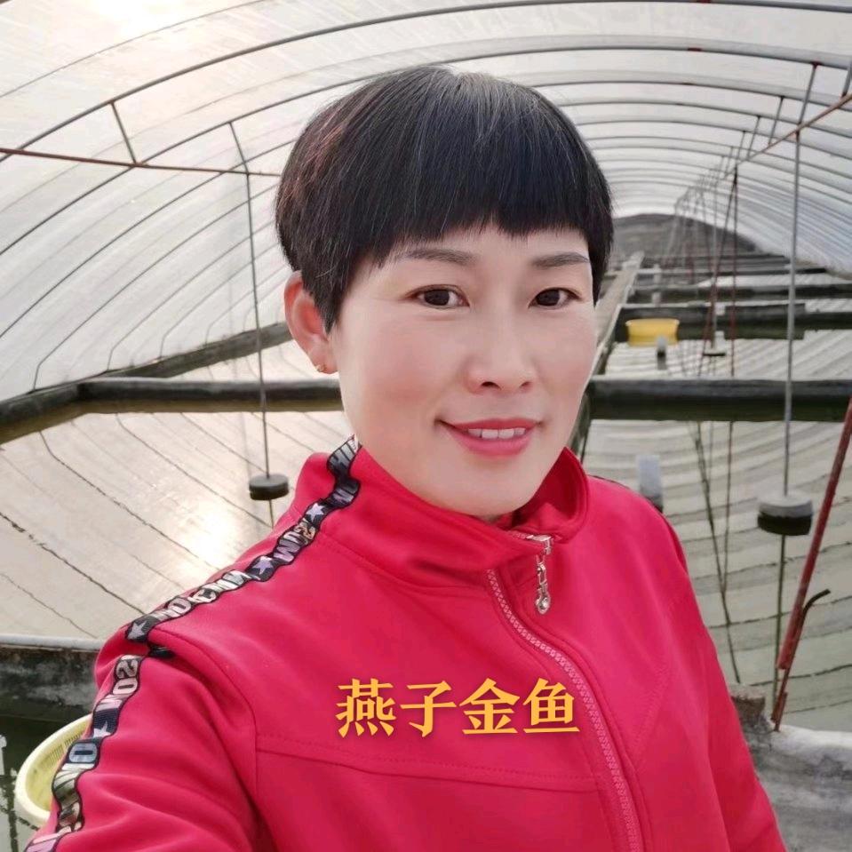 燕子金鱼养殖