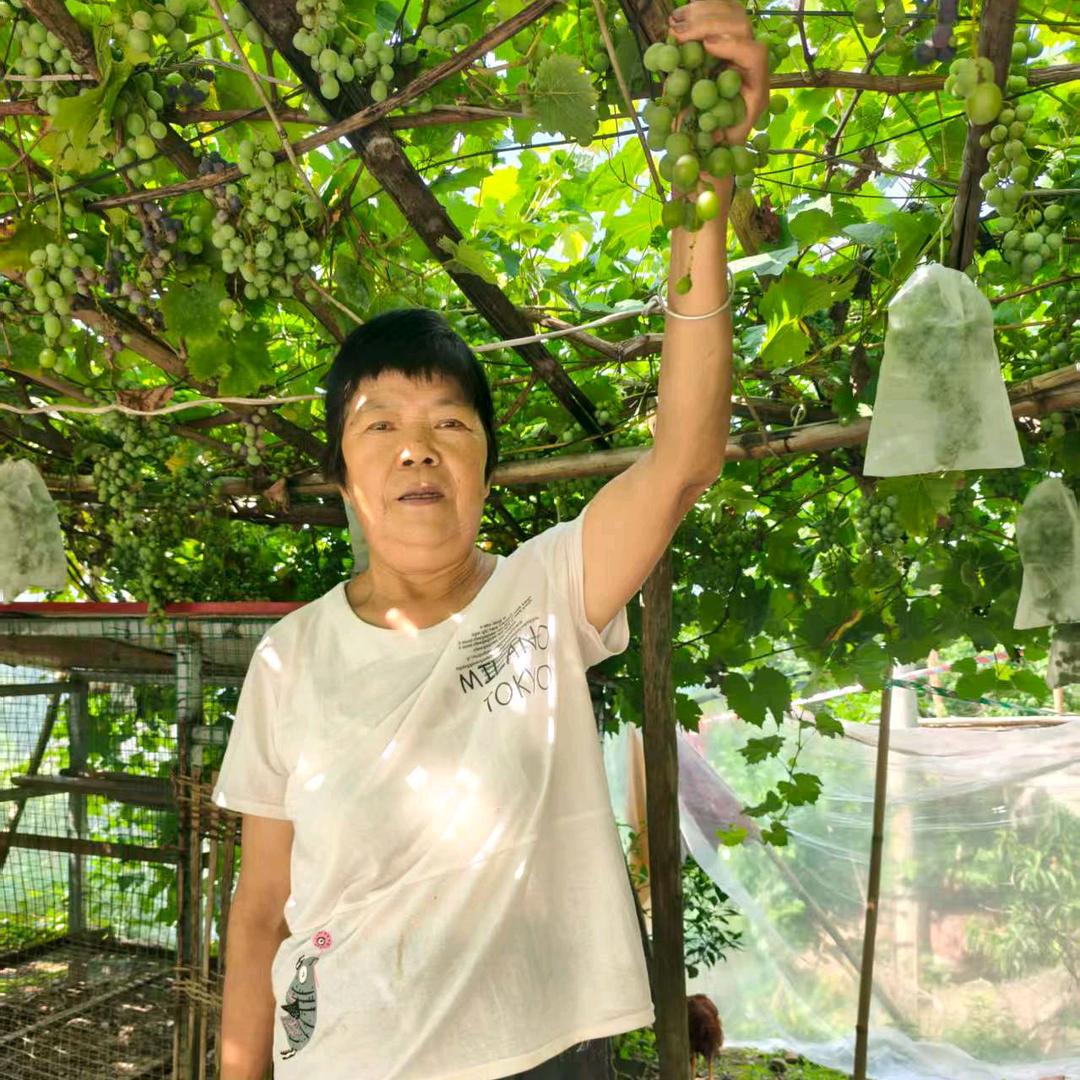 王开华