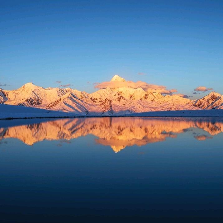 青竹