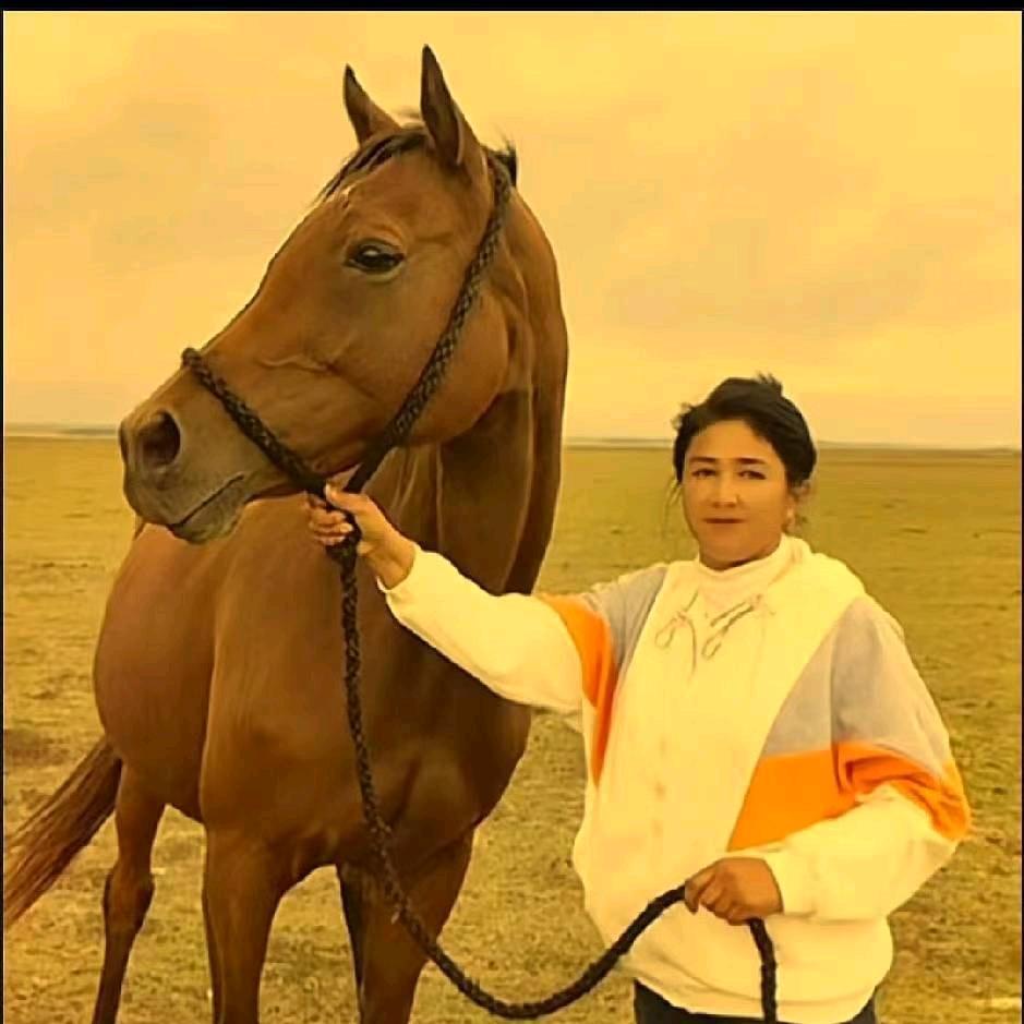 🐎🐎