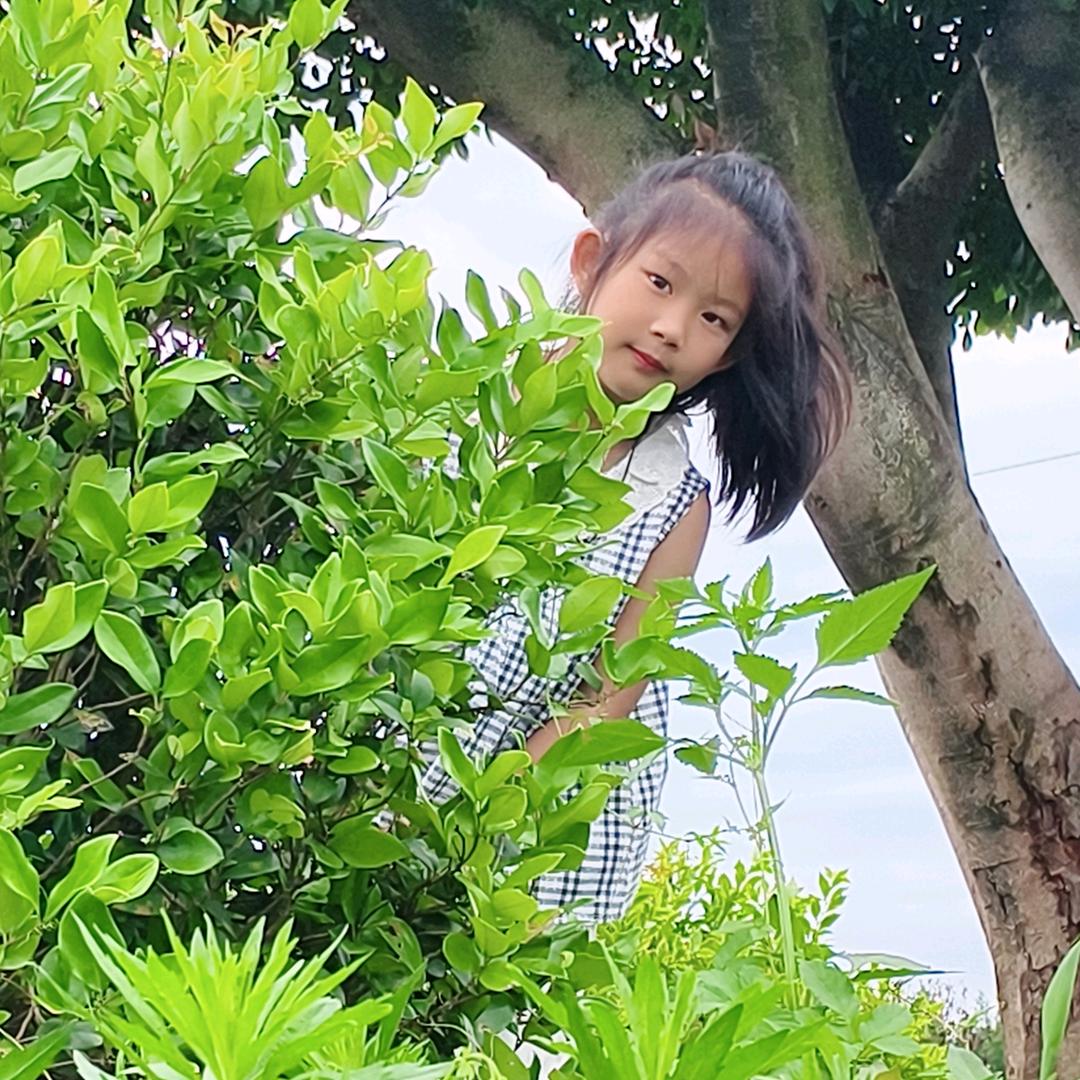 晴
