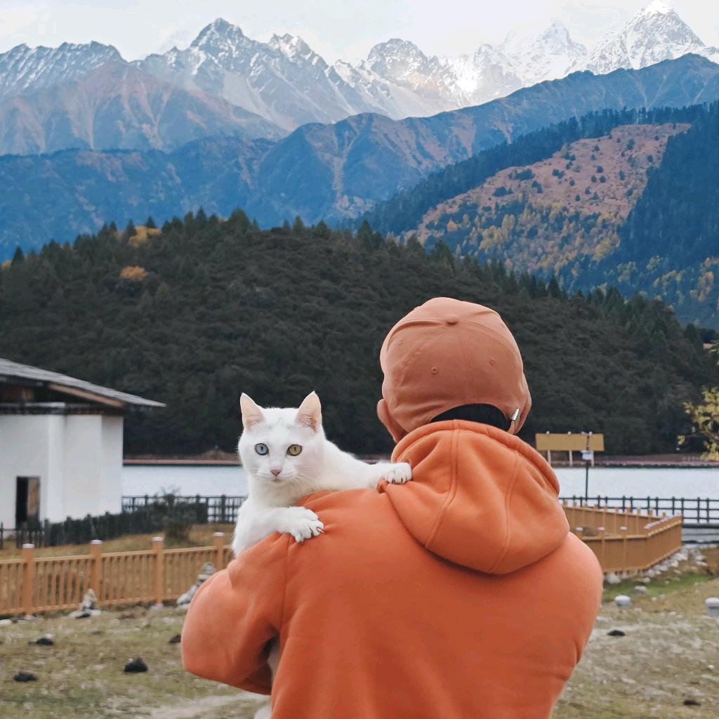 胡小米