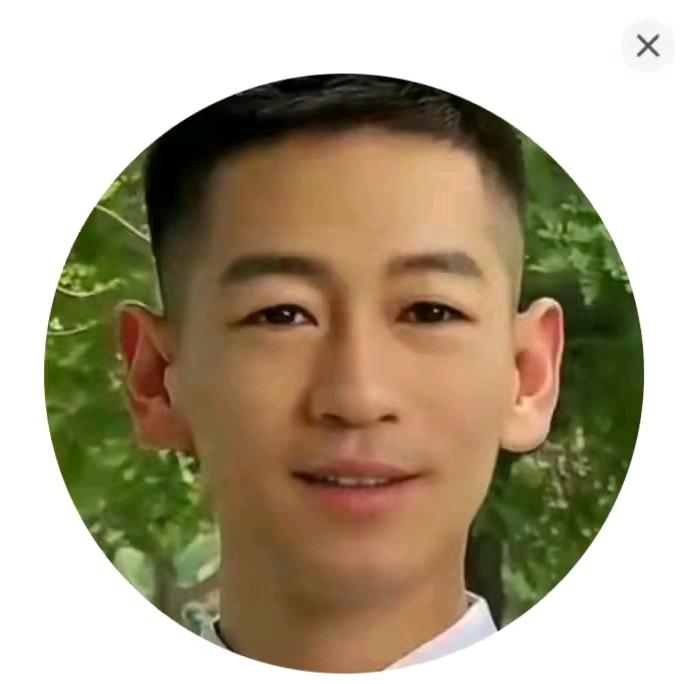 绿荫蝉声