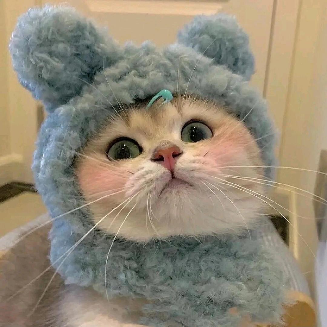 糖糖小姐姐