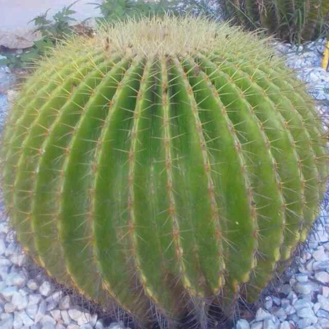 晓(◍•ᴗ•◍)❤慧