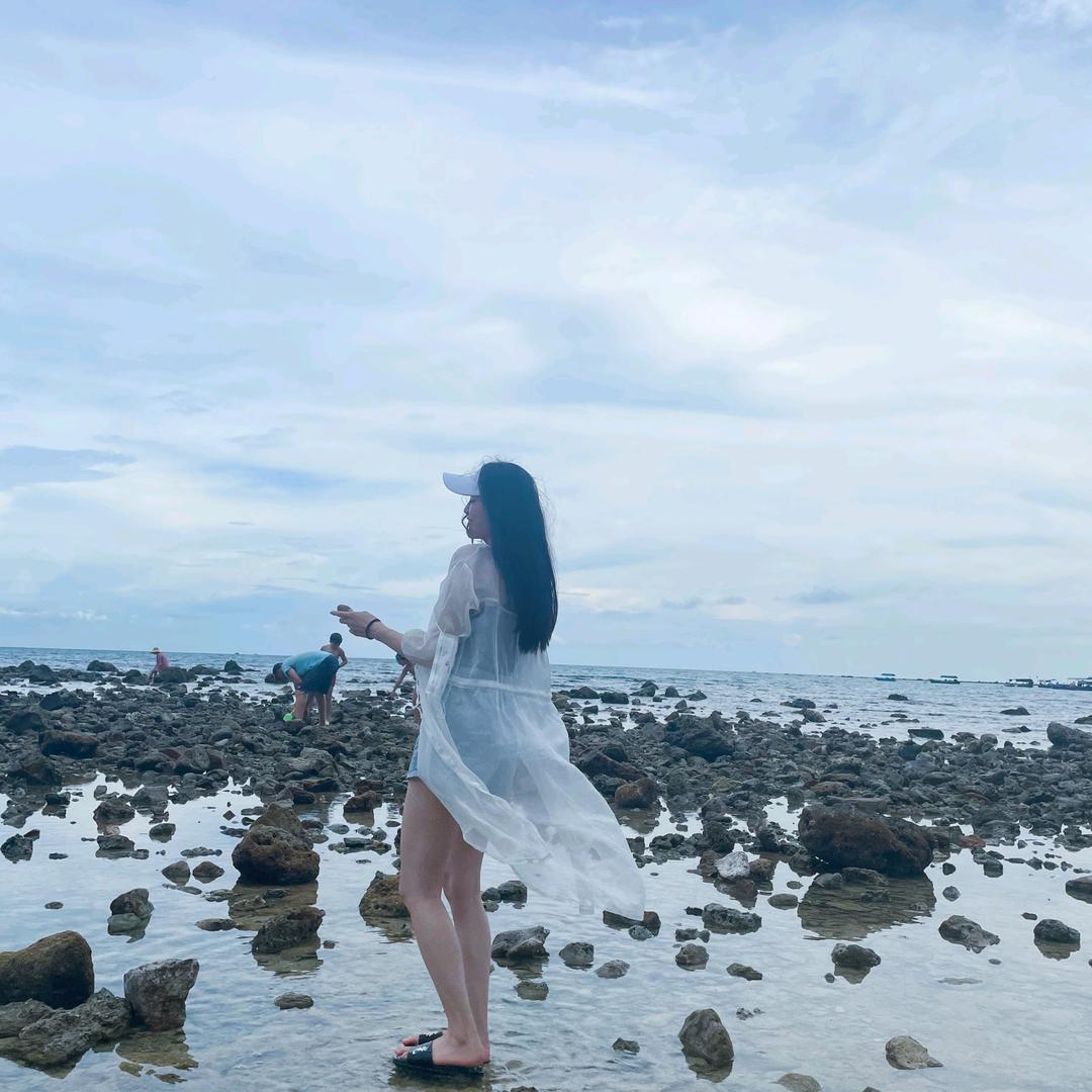 子木清😈