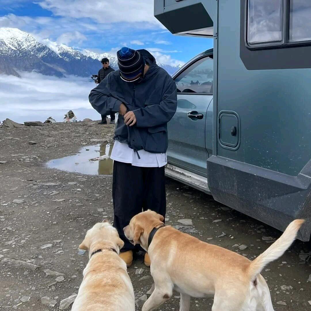 山茶.