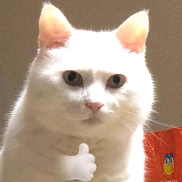 鱼七