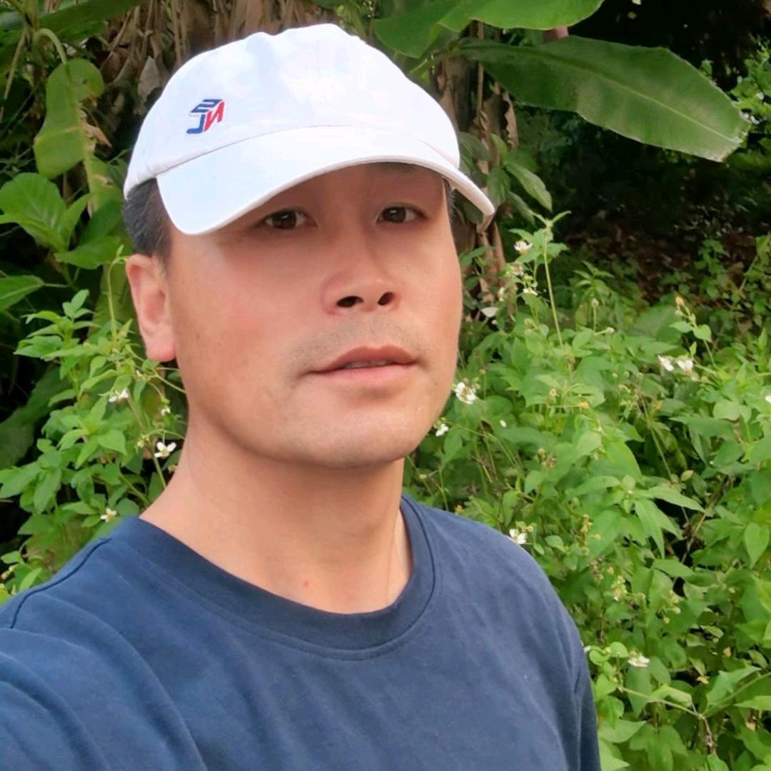 橙歌