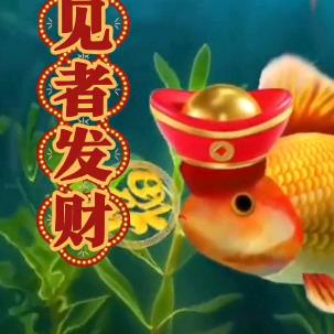 🌈见者发财