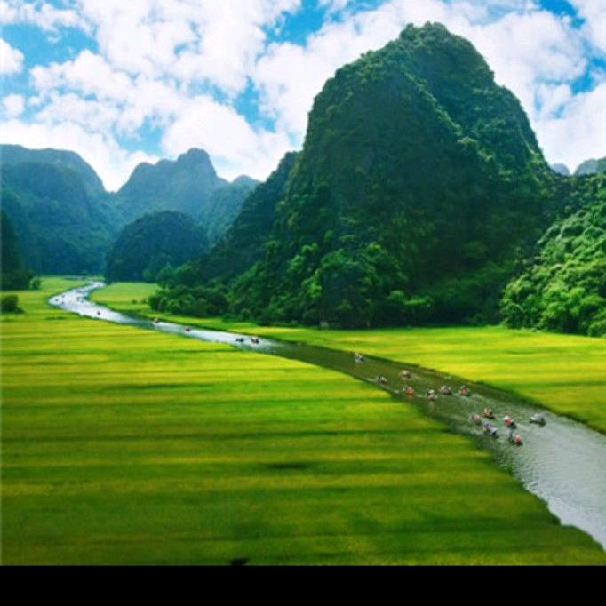 醒悟