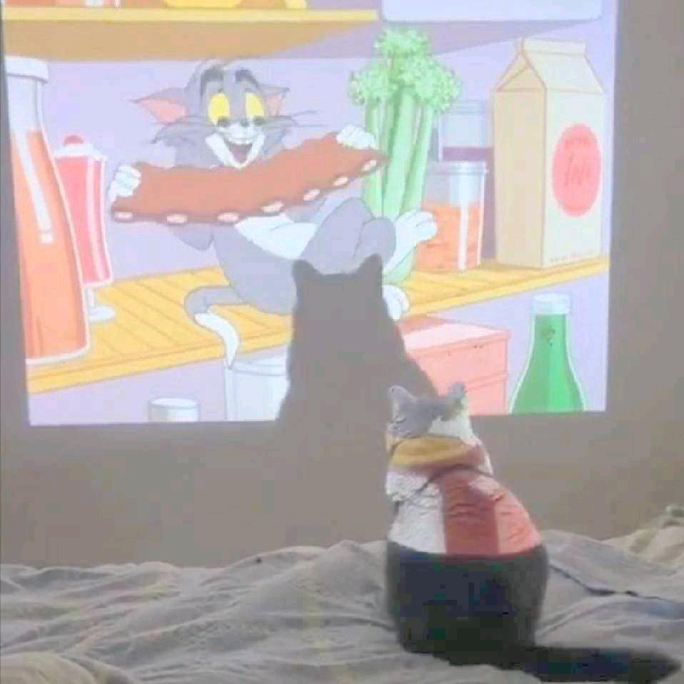 蔚迟